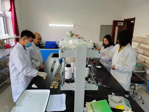 包頭市農(nóng)業(yè)技術(shù)推廣中心全力推進(jìn)化肥減量增效項(xiàng)目土樣檢測(cè)工作